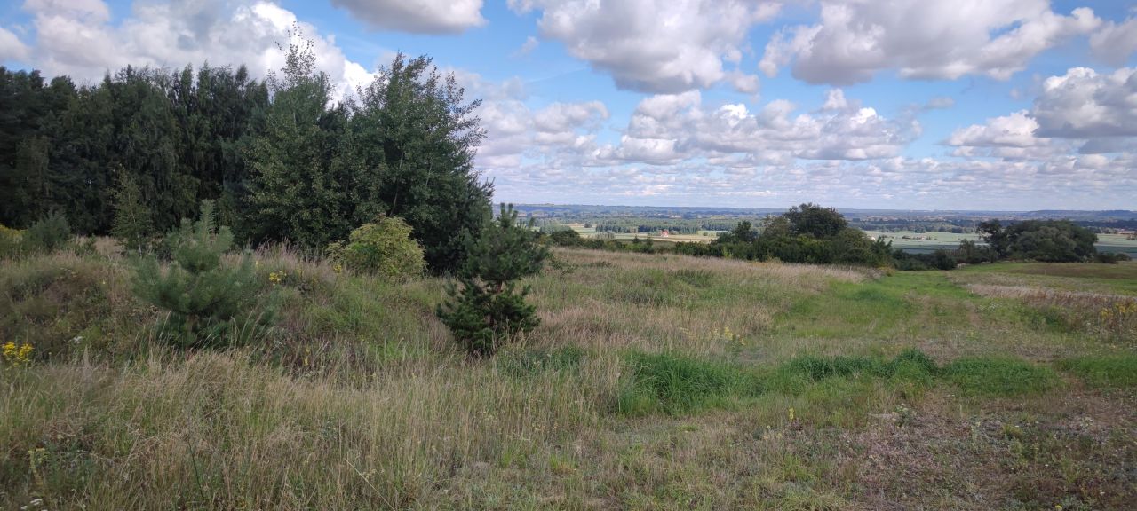 Działka budowlana Gzin, ul. Oktowo. Zdjęcie 13