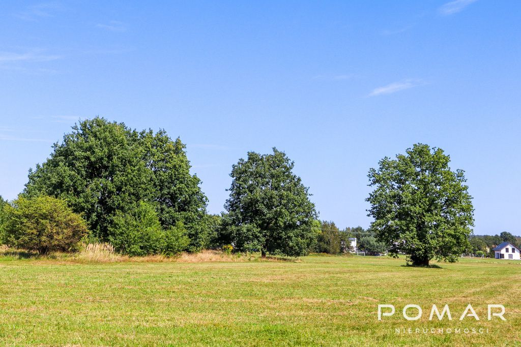 Działka Nędza, ul. Gliwicka. Zdjęcie 4