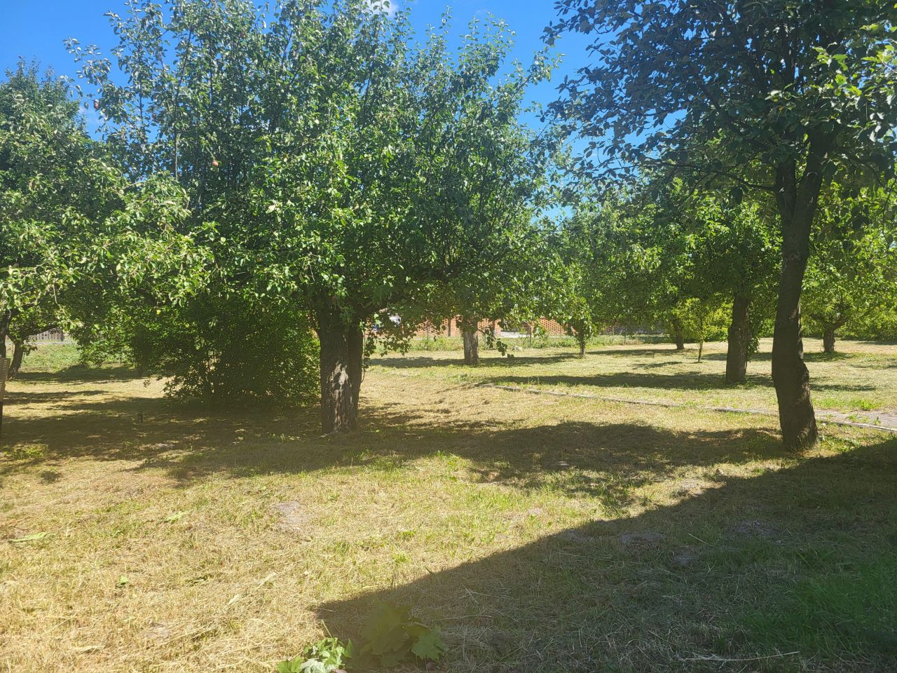 gospodarstwo Babsk. Zdjęcie 8