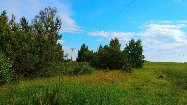 Działka rolna Górzno-Wybudowanie. Zdjęcie 1