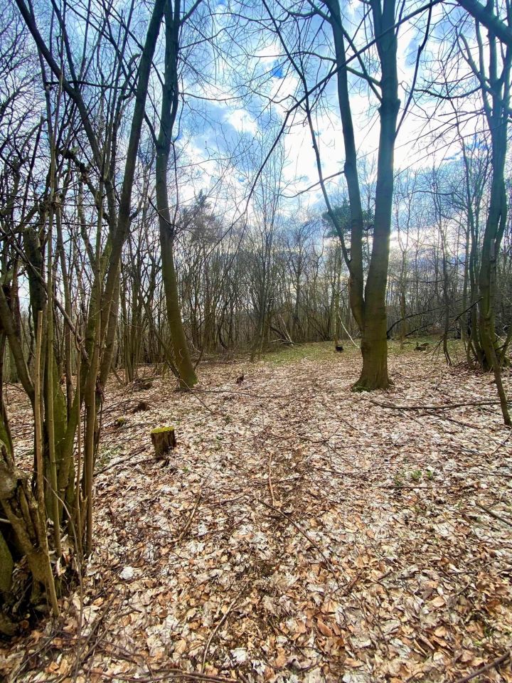 Działka rolna Pstrągówka. Zdjęcie 3