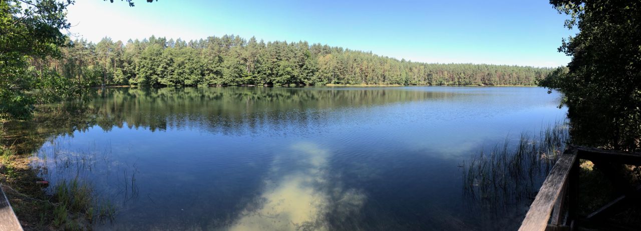 Działka budowlana Chośnica. Zdjęcie 7