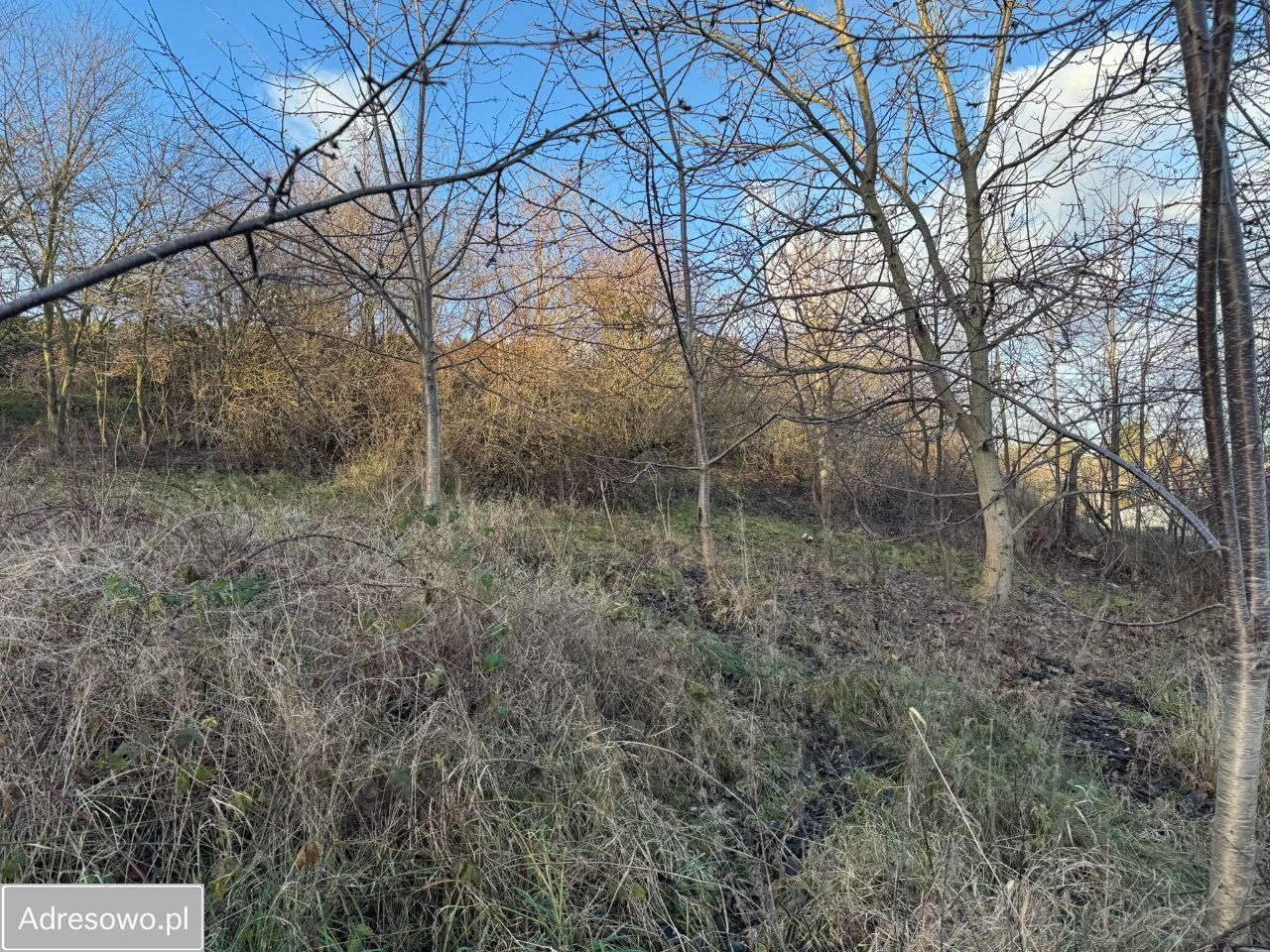 Działka budowlana Gdynia Leszczynki, ul. Stoigniewa. Zdjęcie 7