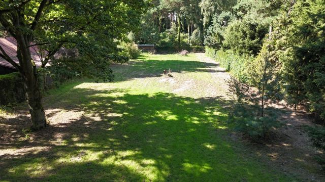 Działka rekreacyjna Skrzeszew, ul. Wczasowa. Zdjęcie 1