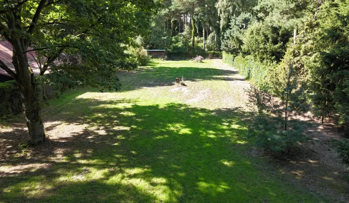 Działka rekreacyjna Skrzeszew, ul. Wczasowa