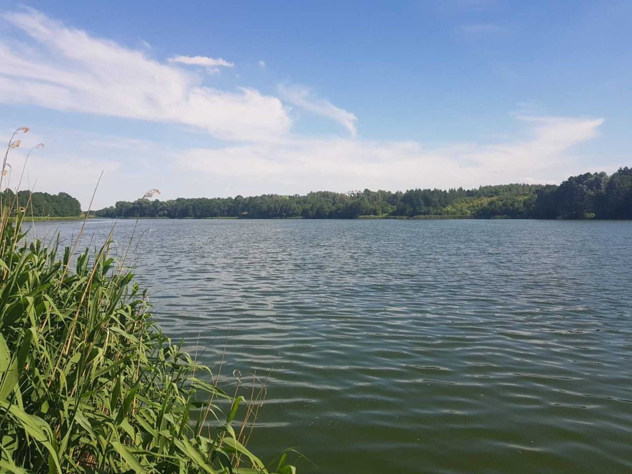 Działka rekreacyjna Hornówek. Zdjęcie 5