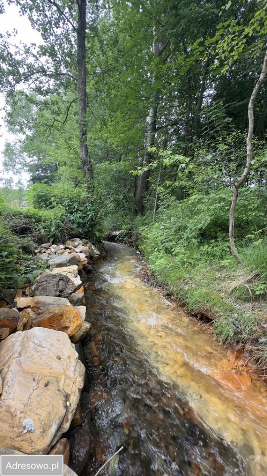 Działka budowlana Wieściszowice. Zdjęcie 6