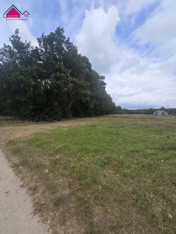 Działka budowlana Kolebki. Zdjęcie 3