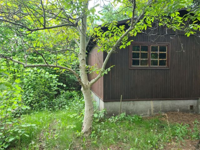 Działka rod Warszawa Targówek. Zdjęcie 1