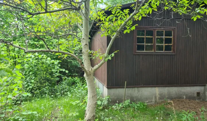 Działka rod Warszawa Targówek