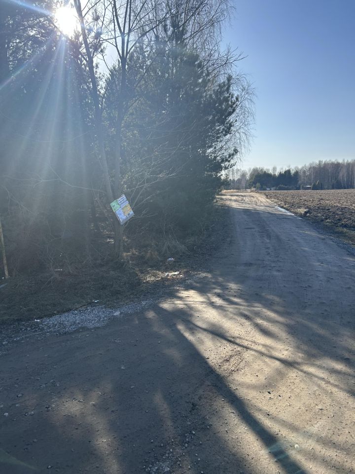 Działka rolna Orzechów-Kolonia. Zdjęcie 2