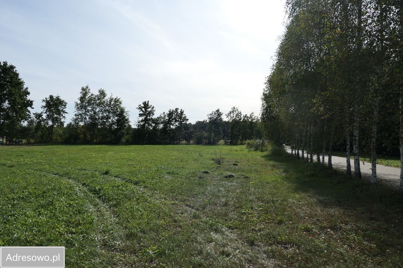 Działka budowlana Krzaki Czaplinkowskie. Zdjęcie 2