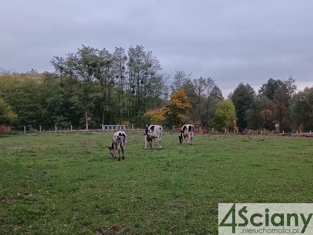 dworek, 10 pokoi Radzimowice. Zdjęcie 14