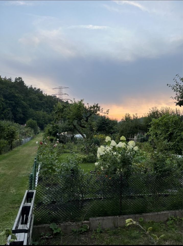 Działka rod Sopot Centrum, ul. Mikołaja Reja. Zdjęcie 3