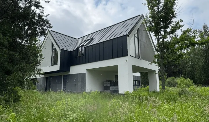 dom wolnostojący, 7 pokoi Rusiec