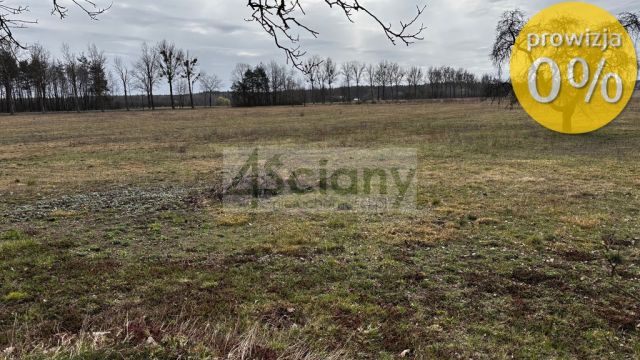 Działka rolna Chudolipie. Zdjęcie 6