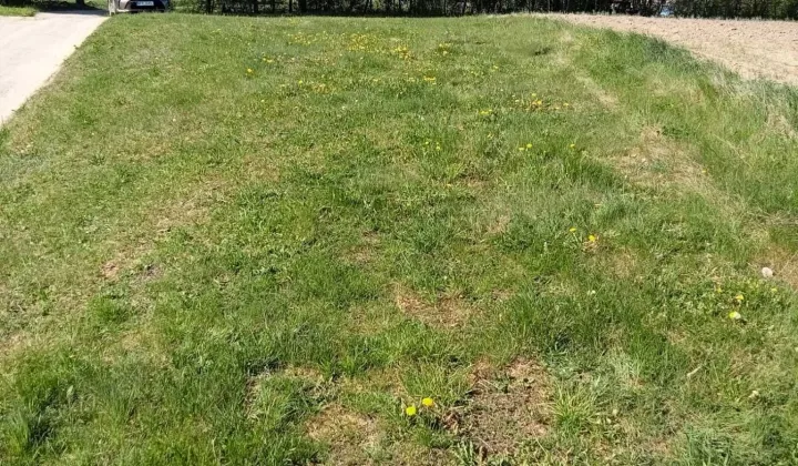 Działka rolna Koźmin