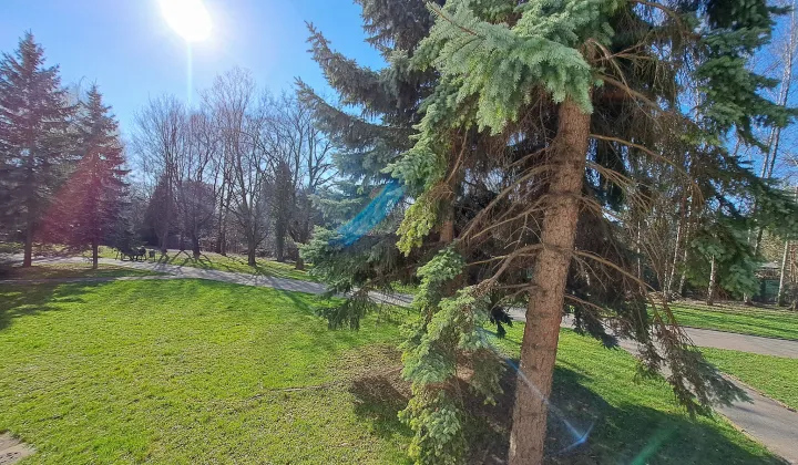 Mieszkanie 1-pokojowe Warszawa Ochota, ul. Sąchocka