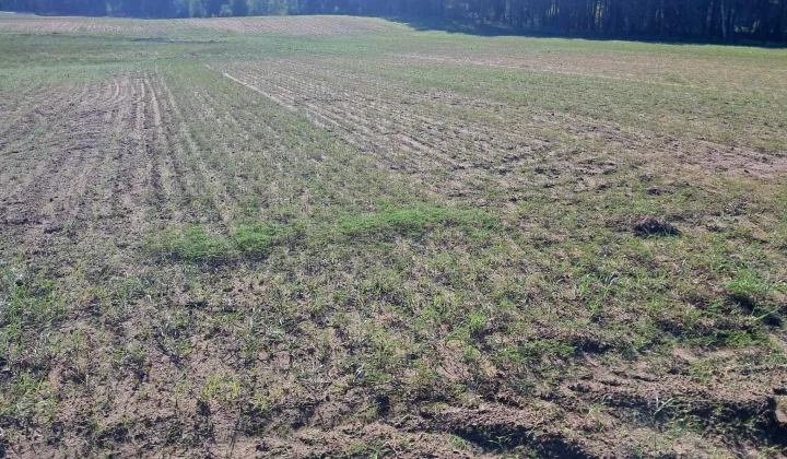 Działka rolno-budowlana Lisiny