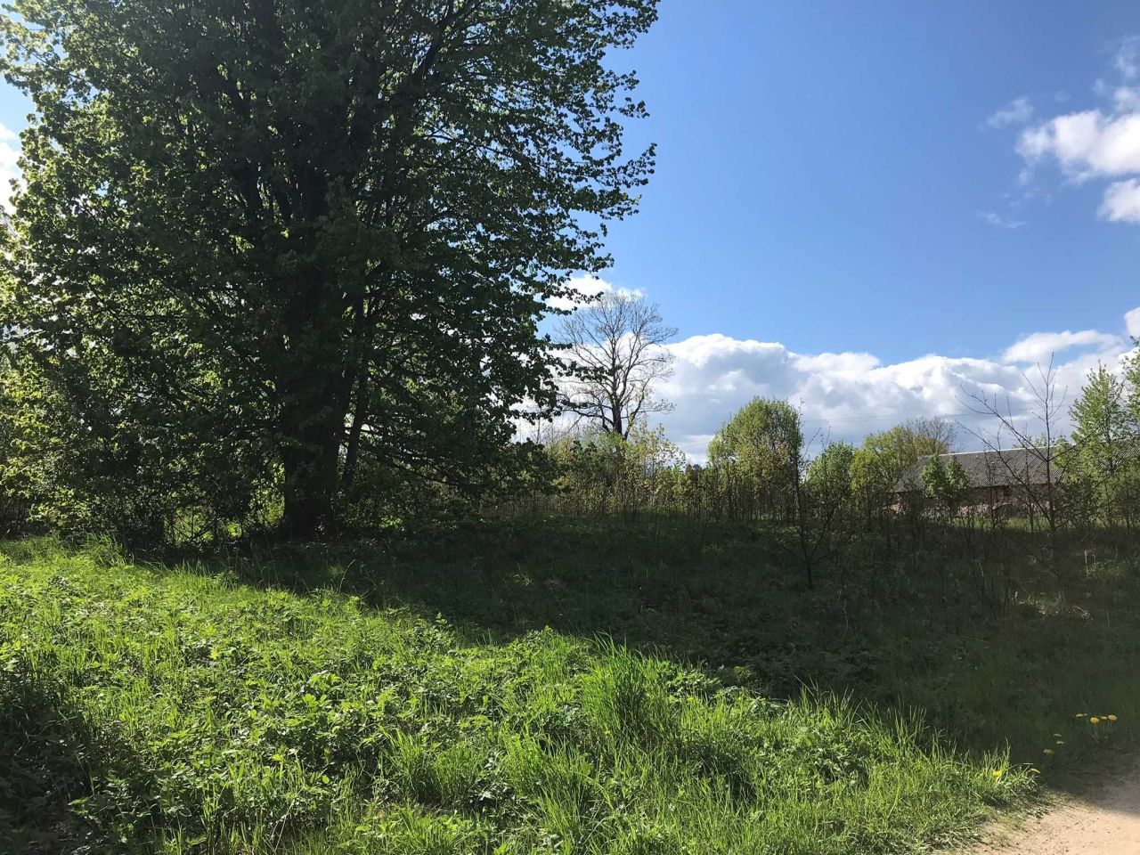 Działka rolno-budowlana Wronki. Zdjęcie 5