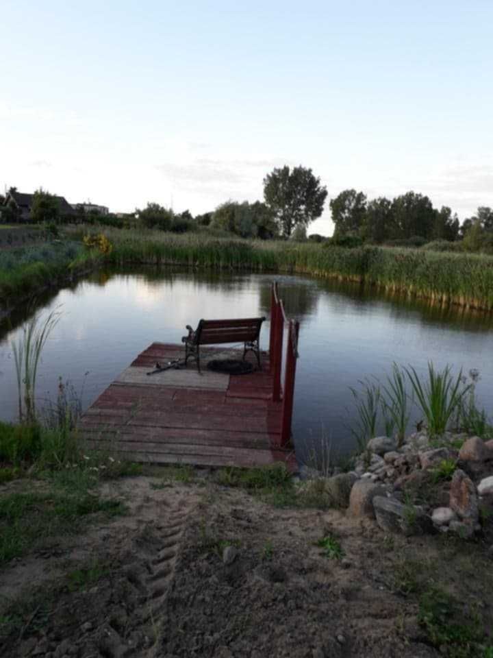 Działka siedliskowa Bytoń. Zdjęcie 6