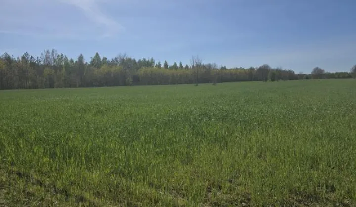 Działka budowlana Michałów