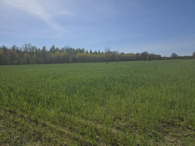 Działka budowlana Michałów