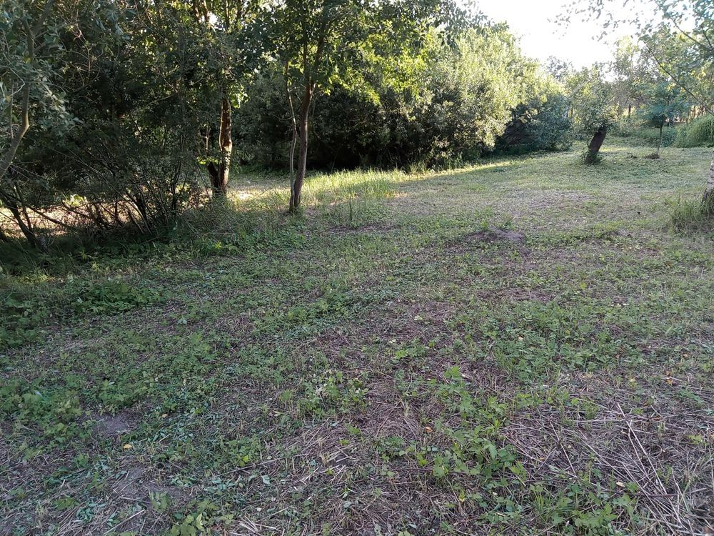 Działka rod Białogard. Zdjęcie 2