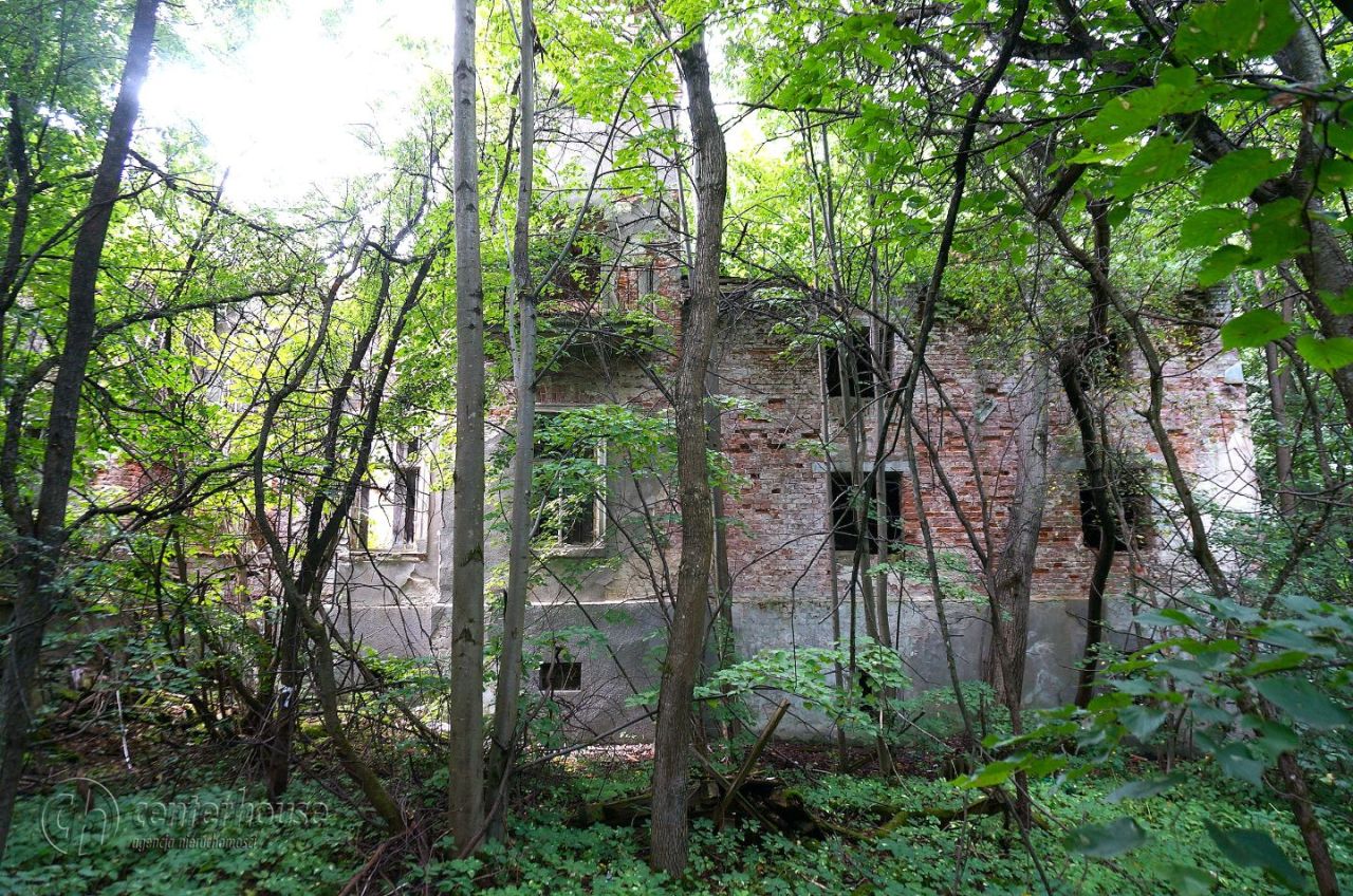 dworek Dąbrowica. Zdjęcie 19