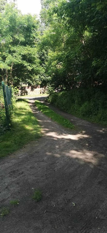 Działka budowlana Gostycyn. Zdjęcie 3