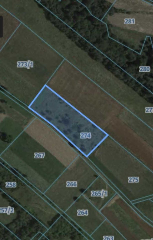 Działka rolna Końskie. Zdjęcie 6