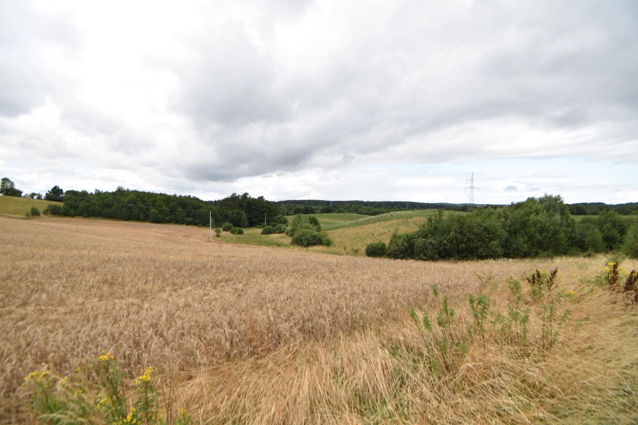 Działka rolno-budowlana Zła Wieś, Klonowa. Zdjęcie 7
