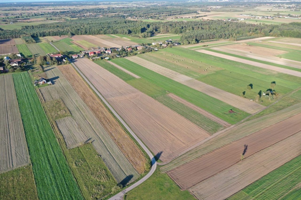 Działka rolno-budowlana Studzianki. Zdjęcie 4