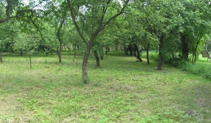 Działka budowlana Sucha Beskidzka Smolikówka, ul. Turystyczna