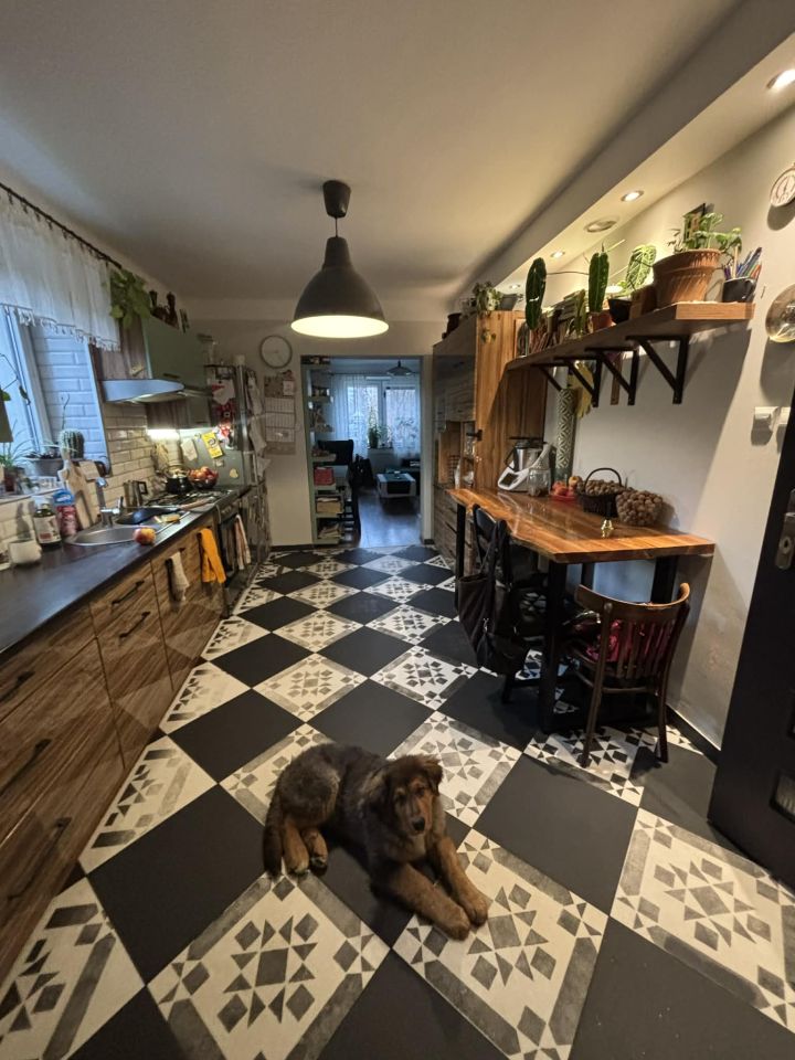 dom wolnostojący, 5 pokoi Rypin, ul. 3 Maja. Zdjęcie 14