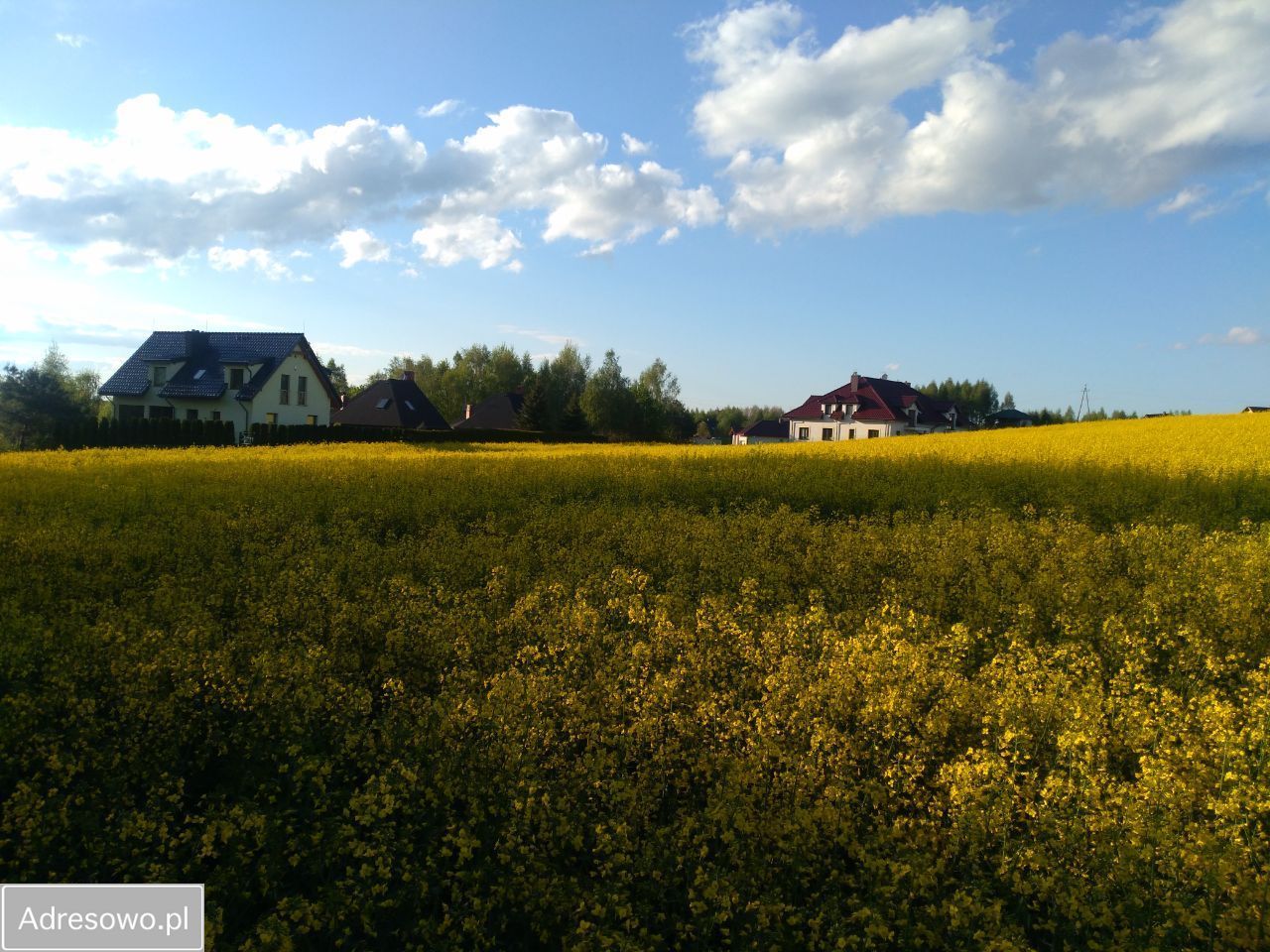 Działka rolno-budowlana Żmijewko. Zdjęcie 10