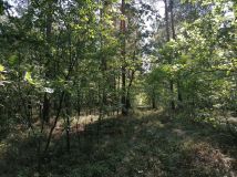 Działka rolna Aleksandrów. Zdjęcie 2