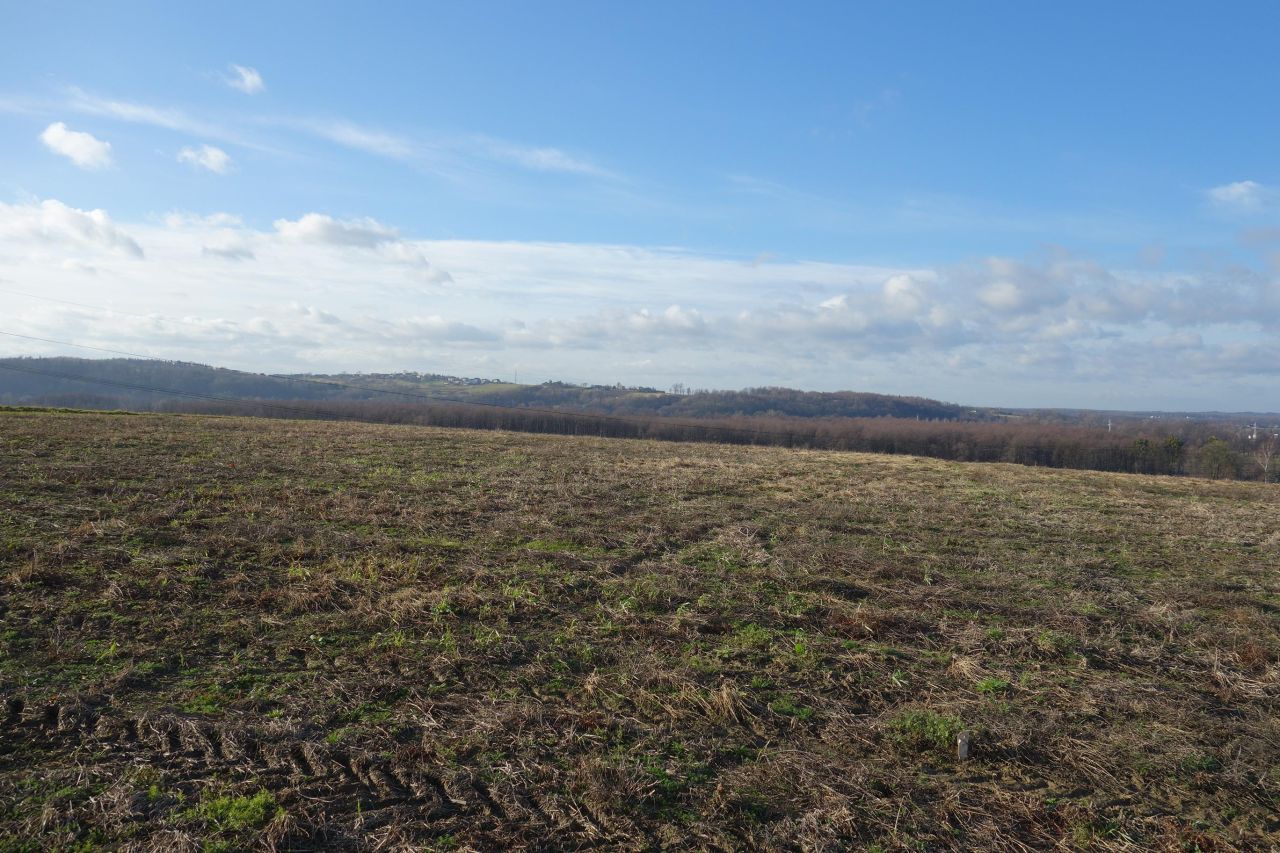 Działka siedliskowa Pierściec, ul. Winogradzka. Zdjęcie 9