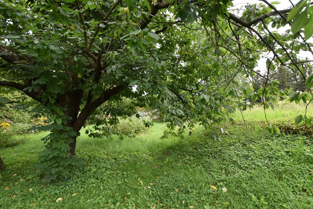 Działka budowlana Krzemienica. Zdjęcie 6