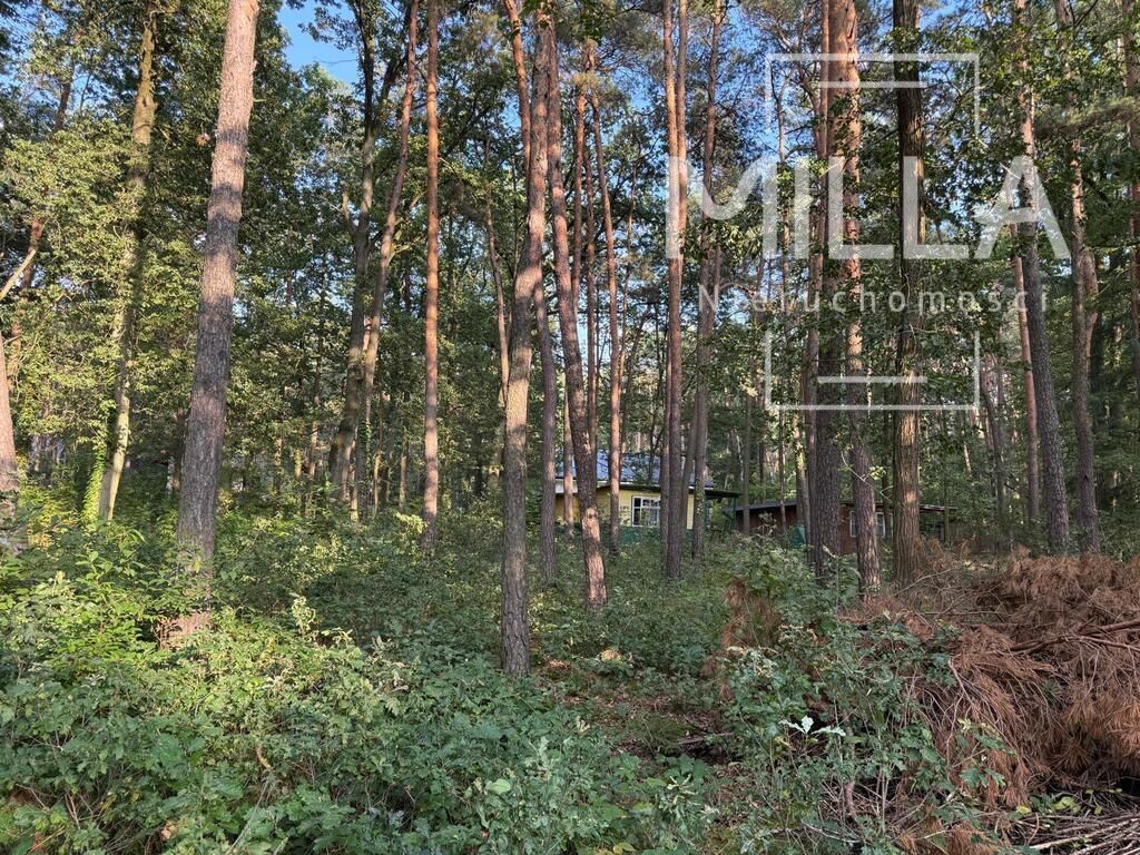 Działka budowlana Sokolniki-Las. Zdjęcie 3