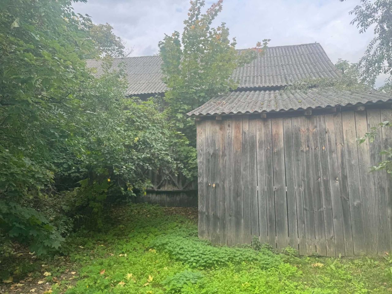 Działka siedliskowa Kopytów. Zdjęcie 7