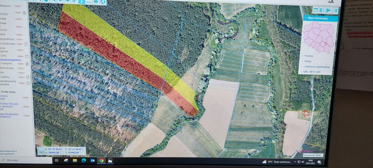 Działka leśna Borownia. Zdjęcie 2