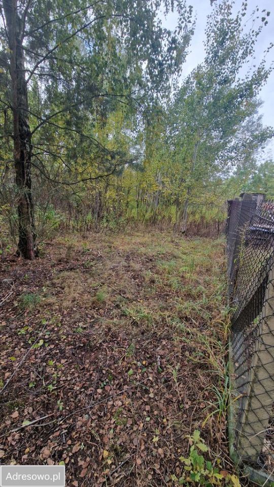 Działka budowlana Jaktorów-Kolonia, ul. Nowowiejskiego. Zdjęcie 5