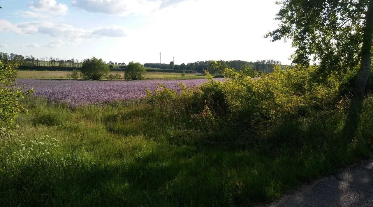 Działka budowlana Nowy Klukom. Zdjęcie 8