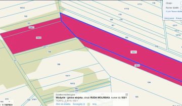 Działka leśna Ruda Wolińska