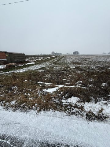 Działka budowlana Walichnowy Malanów. Zdjęcie 10