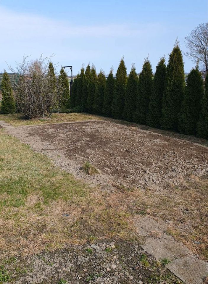 Działka rod Ciechanów. Zdjęcie 2