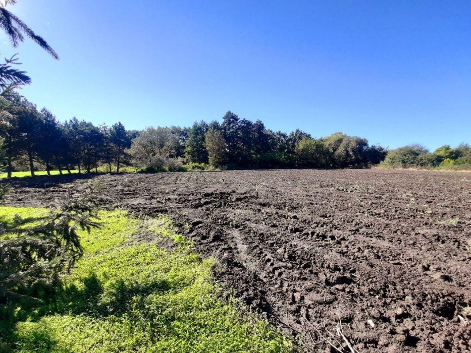 Działka inwestycyjna Strzegom, ul. Morska