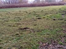 Działka budowlana Borzęcin Duży