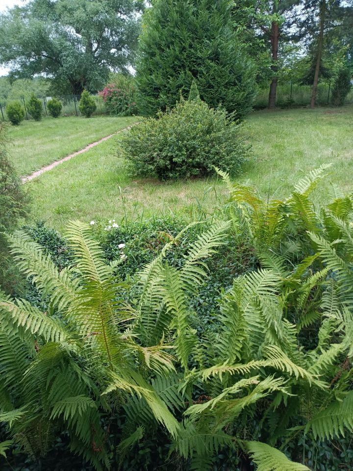 dom wolnostojący, 1 pokój Duchnów, ul. Nizinna. Zdjęcie 10